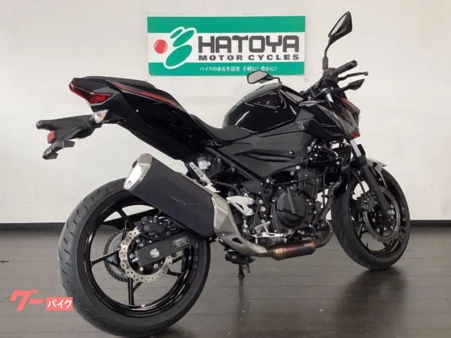 Kawasaki Z400 2024 — миниатюра 4