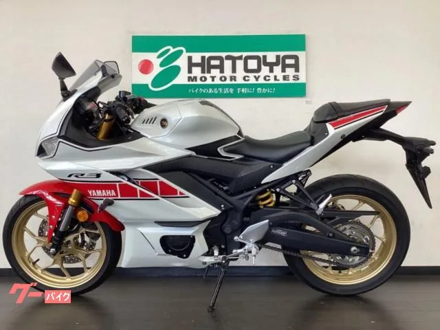 Yamaha YZF-R3 WGP 60 ETC 2022 — миниатюра 2