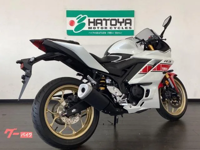 Yamaha YZF-R3 WGP 60 ETC 2022 — миниатюра 4