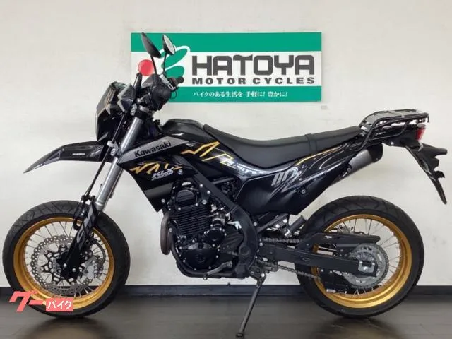 Kawasaki KLX230SM ETC 2023 — миниатюра 2