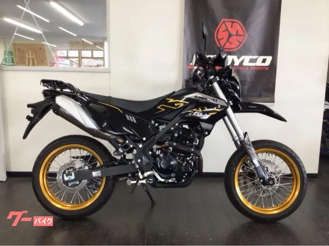 Kawasaki KLX230SM ETC 2023 — фото 1, купить с доставкой в Москву
