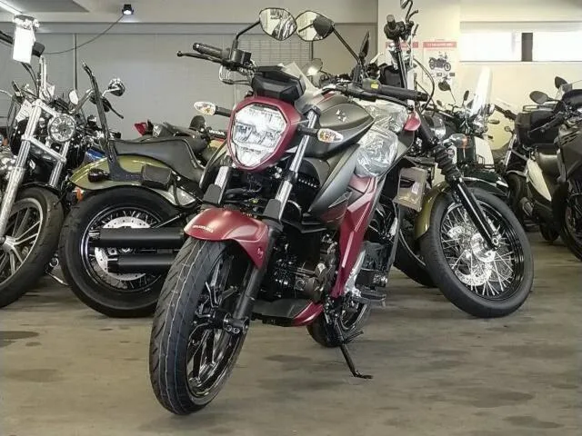 Suzuki GIXXER 250 2025 — миниатюра 3