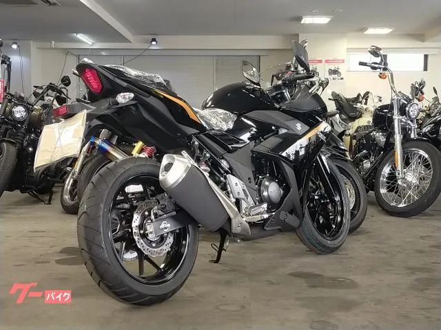 Suzuki GSX250R 2024 — миниатюра 2
