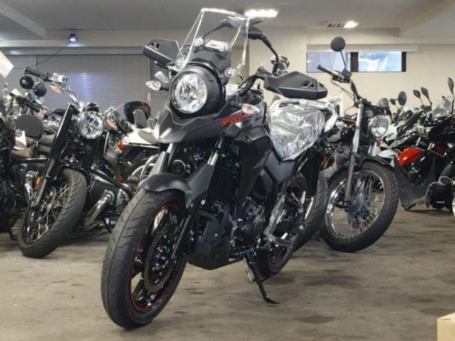 Suzuki V- 250 2024 — миниатюра 3