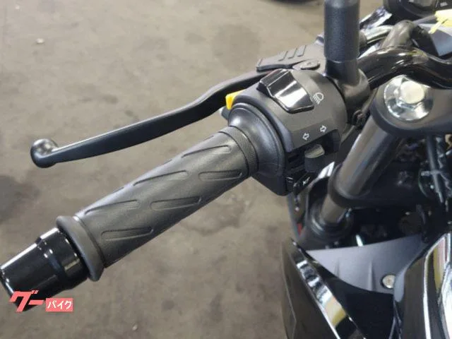 Suzuki GIXXER 250 2026 — миниатюра 5