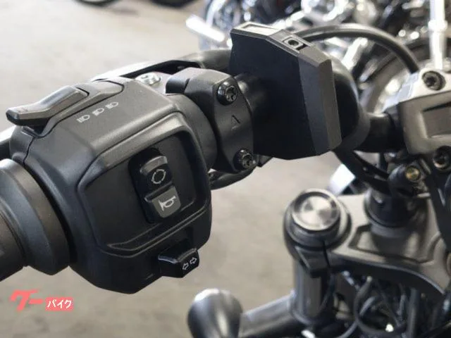 HARLEY-DAVIDSON RH975 ETC2.0 USB 2023 — миниатюра 3