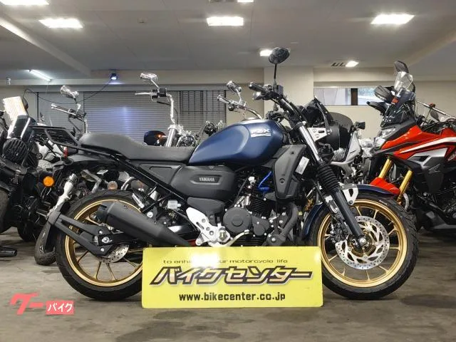 Yamaha FZ-X 2024 — фото 1, купить с доставкой в Москву