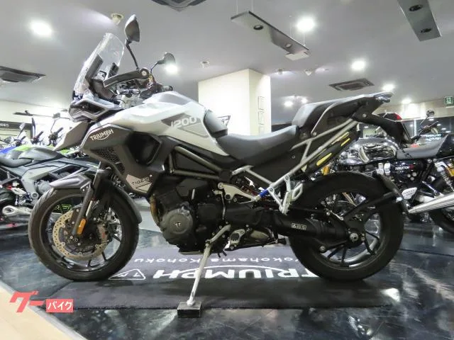 TRIUMPH 1200GT PRO 2024 2024 — миниатюра 3