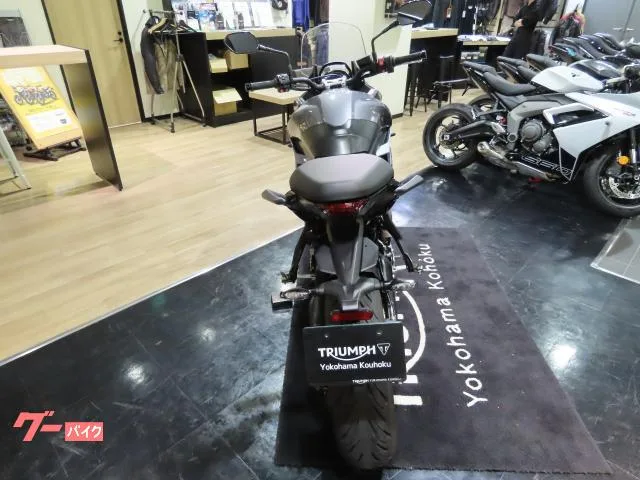TRIUMPH 660 2023 — миниатюра 3