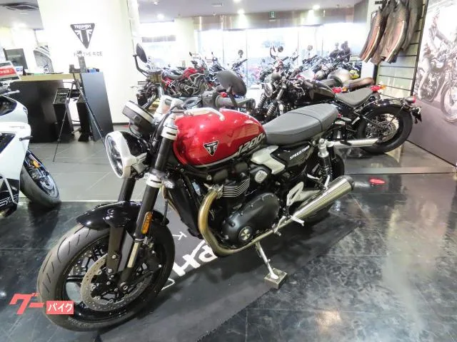 TRIUMPH 1200 2025 2025 — миниатюра 3