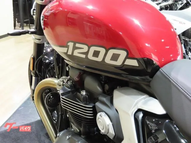 TRIUMPH 1200 2025 2025 — миниатюра 4