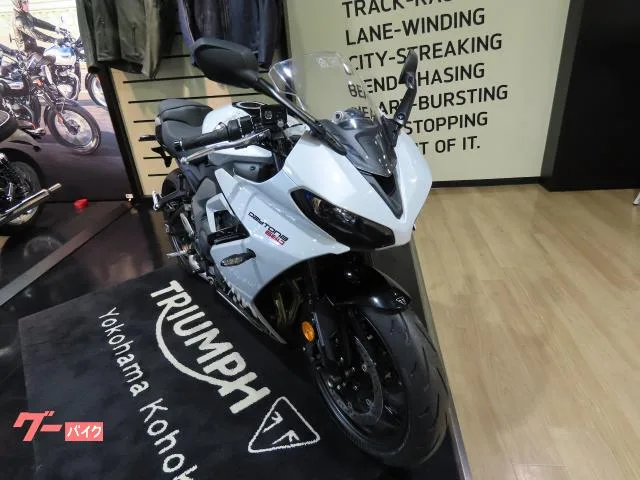 TRIUMPH 660 2025 — миниатюра 2
