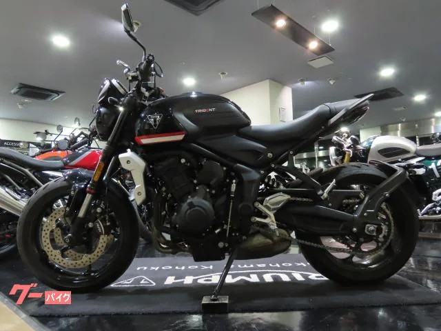 TRIUMPH 660 2024 2024 — миниатюра 3
