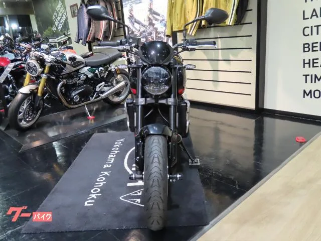 TRIUMPH 660 2024 2024 — миниатюра 4