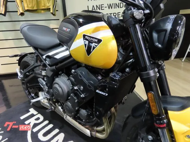 TRIUMPH 660 2025 — миниатюра 3