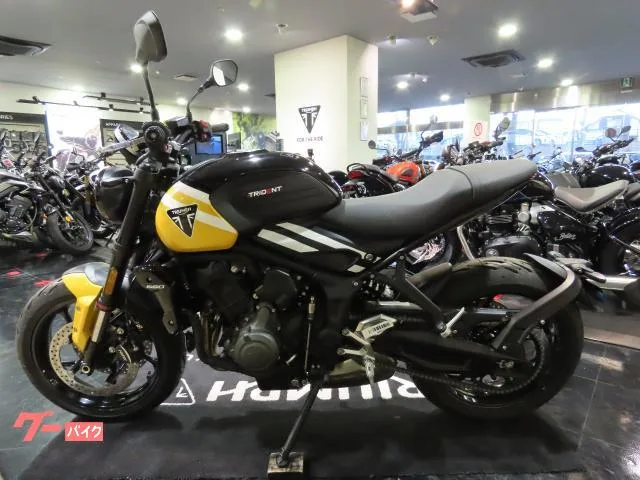 TRIUMPH 660 2025 — миниатюра 4