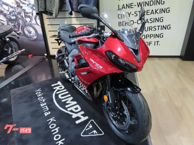 TRIUMPH 660 2025 — миниатюра 2