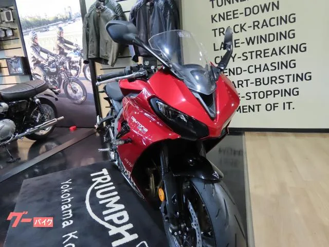 TRIUMPH 660 2025 — миниатюра 4