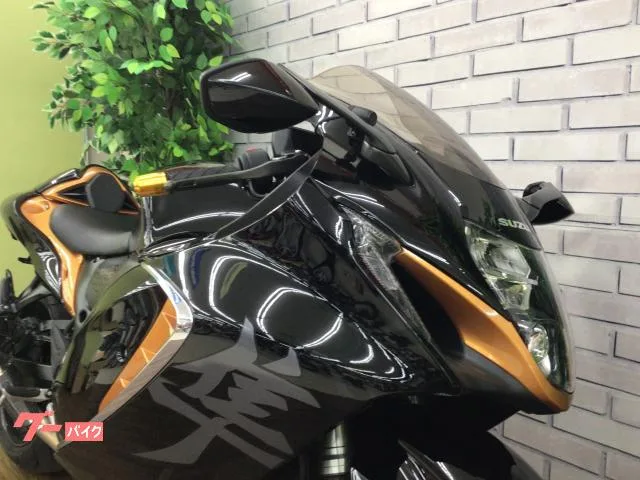 Suzuki (GSX1300R Hayabusa) 2022 — миниатюра 3