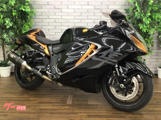 Suzuki (GSX1300R Hayabusa) 2022 — фото 1, купить с доставкой в Москву