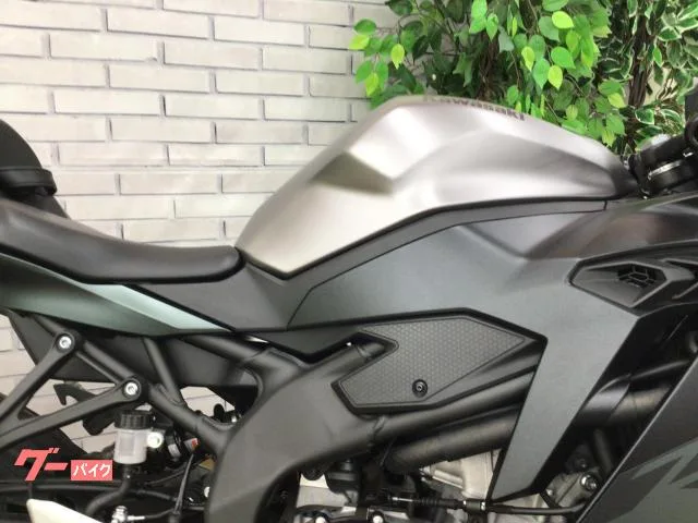 Kawasaki Ninja ZX-4R SE 2025 — миниатюра 3