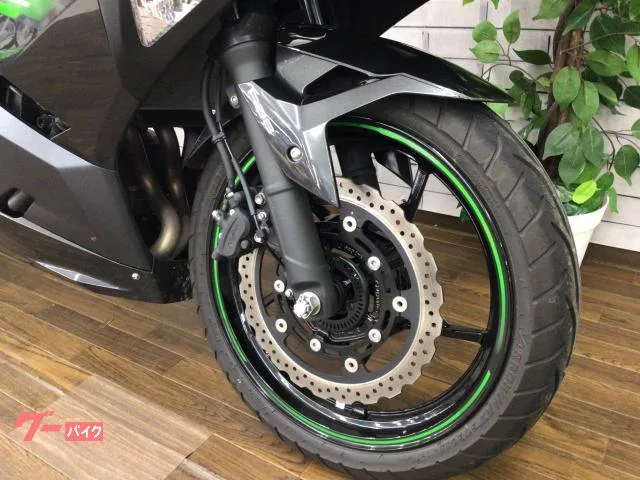 Kawasaki Ninja 250 2024 — миниатюра 3
