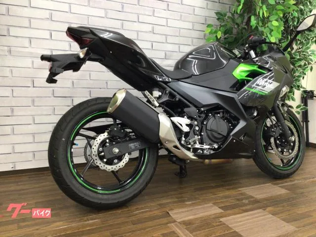 Kawasaki Ninja 250 2024 — миниатюра 4