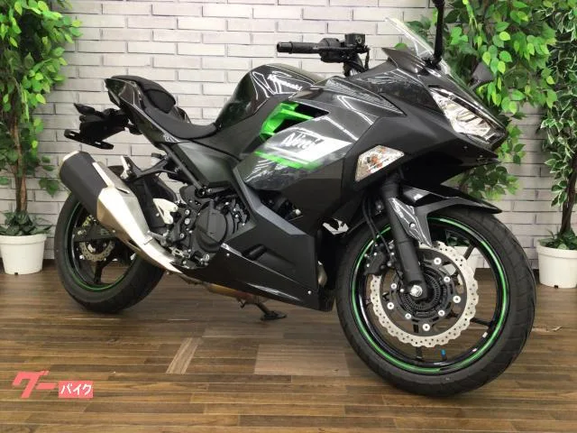 Kawasaki Ninja 250 2024 — фото 1, купить с доставкой в Москву