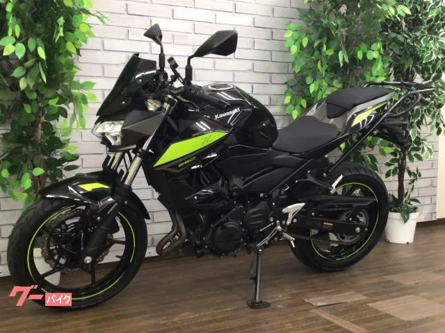 Kawasaki Z250 2022 — миниатюра 3