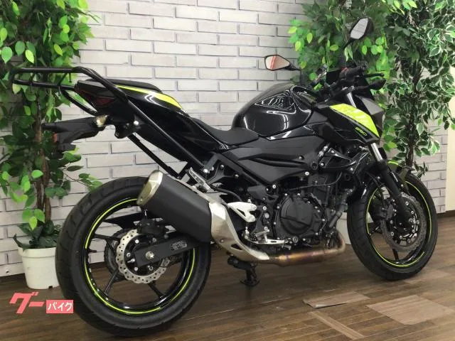 Kawasaki Z250 2022 — миниатюра 4