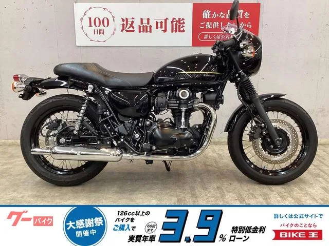 Kawasaki W800 USB 2023 — фото 1, купить с доставкой в Москву