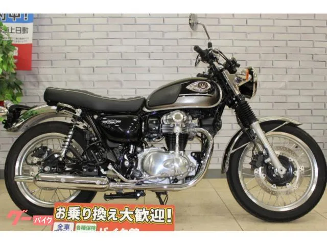 Kawasaki W800 2024 — миниатюра 2