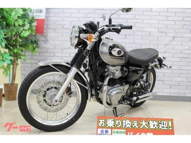 Kawasaki W800 2024 — миниатюра 4