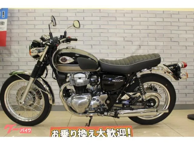 Kawasaki W800 2024 — миниатюра 5