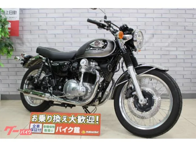 Kawasaki W800 2024 — фото 1, купить с доставкой в Москву