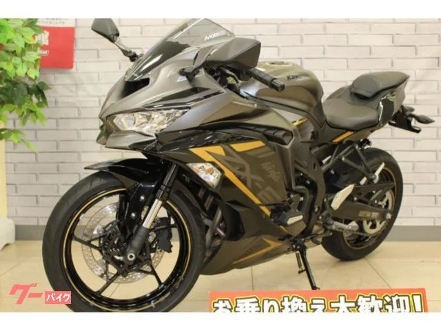 Kawasaki Ninja ZX-25R SE 2022 — миниатюра 4