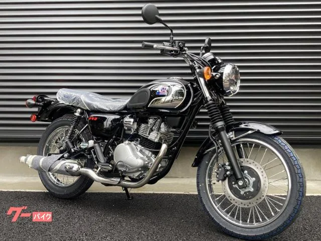 Kawasaki S1 2026 — фото 1, купить с доставкой в Москву