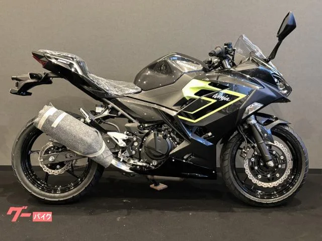 Kawasaki Ninja 250 x 2026 — миниатюра 2