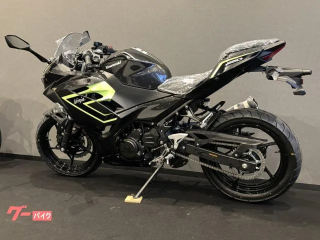 Kawasaki Ninja 250 x 2026 — миниатюра 3