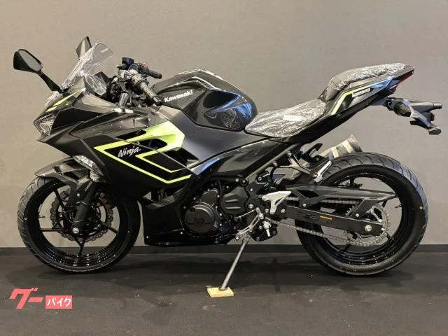 Kawasaki Ninja 250 x 2026 — миниатюра 4