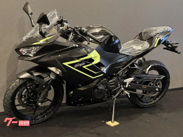 Kawasaki Ninja 250 x 2026 — миниатюра 5