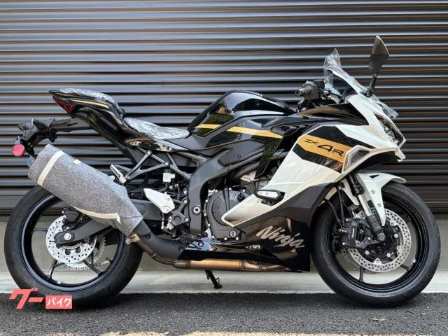 Kawasaki Ninja ZX-4R SE / 2026 — миниатюра 2