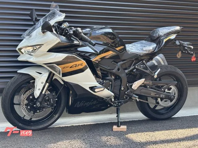 Kawasaki Ninja ZX-4R SE / 2026 — миниатюра 3