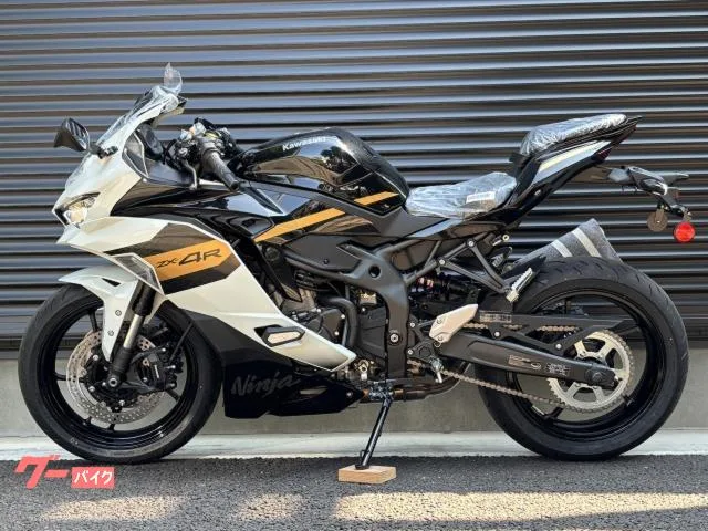 Kawasaki Ninja ZX-4R SE / 2026 — миниатюра 4