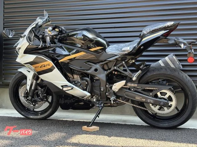 Kawasaki Ninja ZX-4R SE / 2026 — миниатюра 5