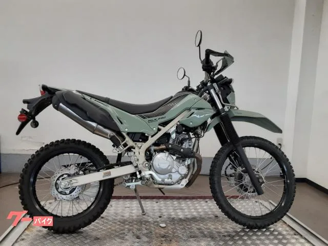 Kawasaki KLX230 73747 2025 — фото 1, купить с доставкой в Москву