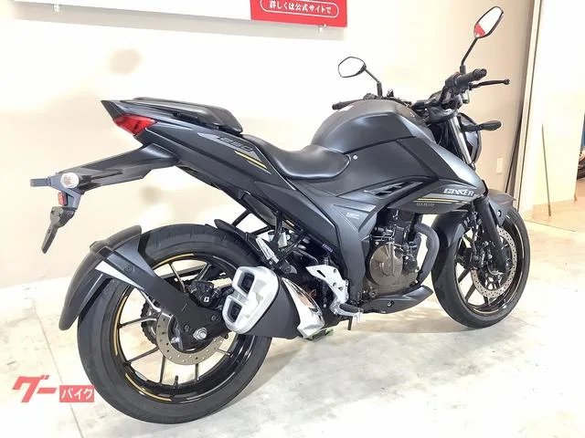 Suzuki GIXXER 250/ / 2023 — миниатюра 5