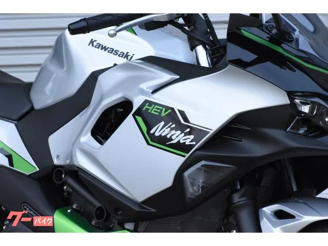 Kawasaki Ninja 7 Hybrid 2024 — миниатюра 3
