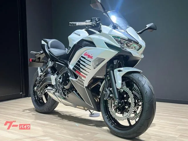 Kawasaki Ninja 650 2026 2026 — миниатюра 2