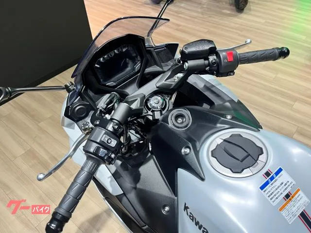 Kawasaki Ninja 650 2026 2026 — миниатюра 3
